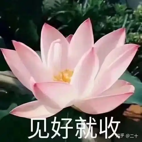 说说你眼中的天秤座男女篇