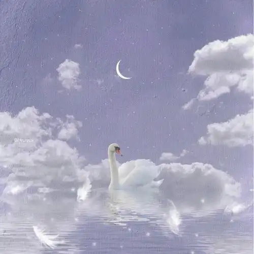 优质朋友圈背景图合集