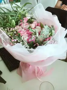 有趣的小姐姐小哥哥们看过来