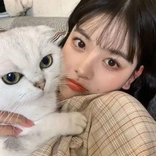 猫系女孩子容易追吗情侣