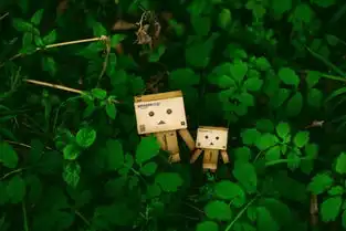 亚马逊小盒子的幸福生活治愈系小清新玩偶写真