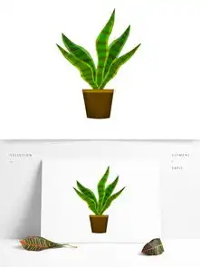 图片免费下载虎皮兰素材虎皮兰模板千图网