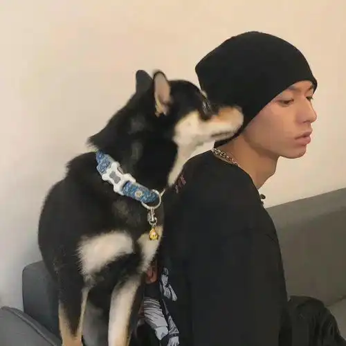 准备换头像了家人们