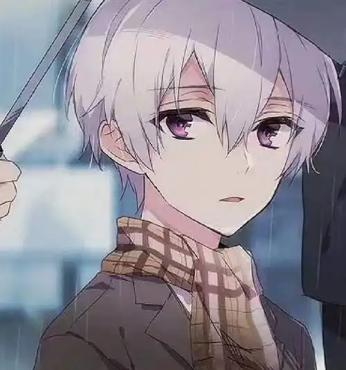 想问图种的两个男孩子是什么动漫里的