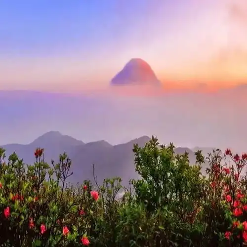 破财是好运的开始和先兆是真的吗