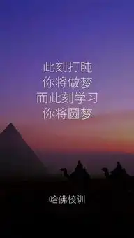 即使现在,对手也在不停的翻动书页