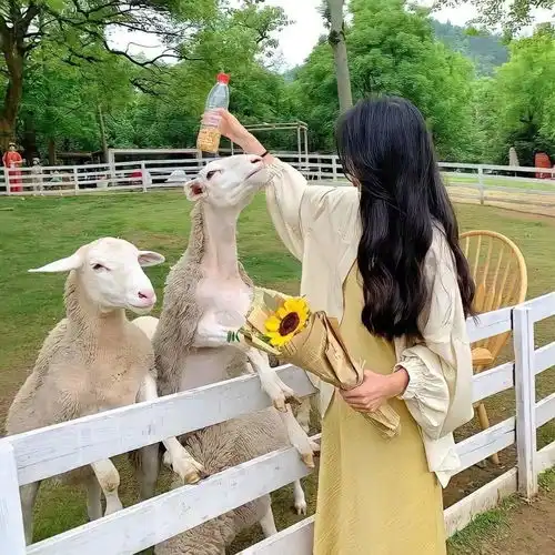 头像温柔又阳光的女生头像,甜甜美美,简简单单