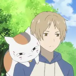 此处表白夏目小哥哥和猫咪老师