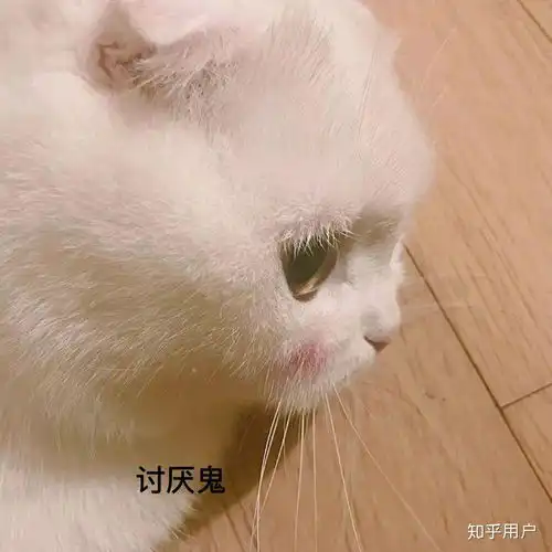 情侣之间会不会嘴对嘴喂食