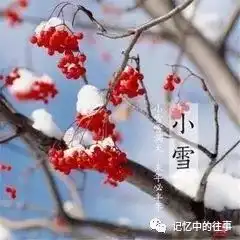 七律小雪