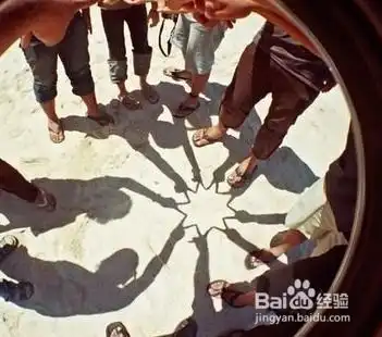 兄弟情深之毛毛