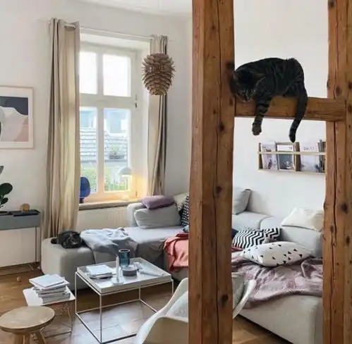 北欧女主治愈系家居场面,在门前庭院看四季变化,全屋精致温馨