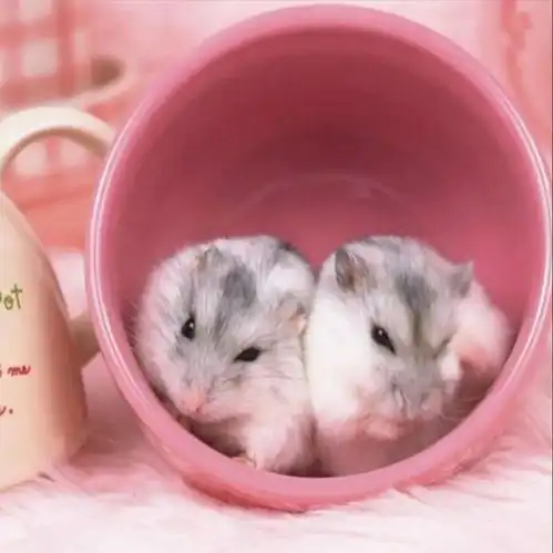 请查收,你的治愈系小确幸