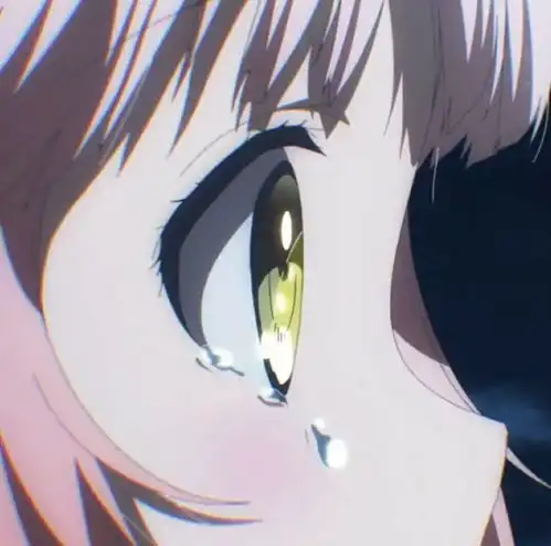 丧系动漫女头妈妈没告诉过你吗让你流泪的男人不能要