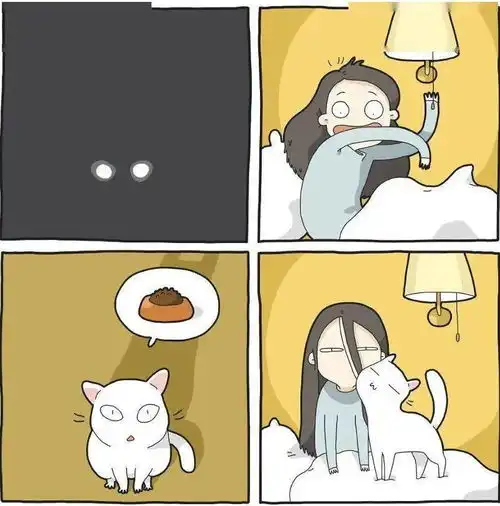 有猫病小猫咪骚起来,就没人类什么事了