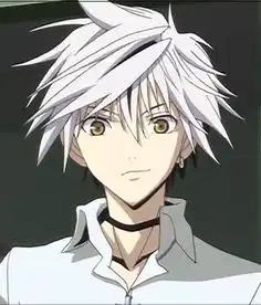 求银发的动漫少年