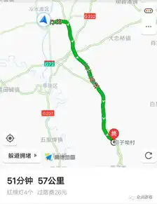 网红粉黛乱子草来永州了,仙气十足少女心要爆棚啦