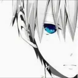 有没有和这些图片差不多的二次元图片