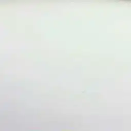 白色干净微信头像