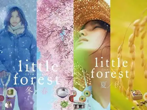 看了那么多年虐恋剧,发现治愈系才是王道