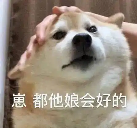 巧了你也没看懂是吗
