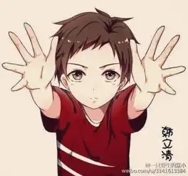 求全职高手这个系列套图的全部图片在线等急