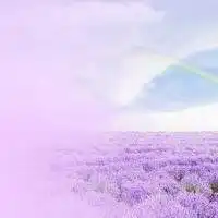 微信头像意境风景卡通女生微信头像图片大全