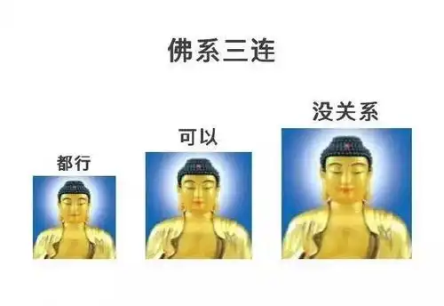 最近特别流行佛系留学生施主,我们不约