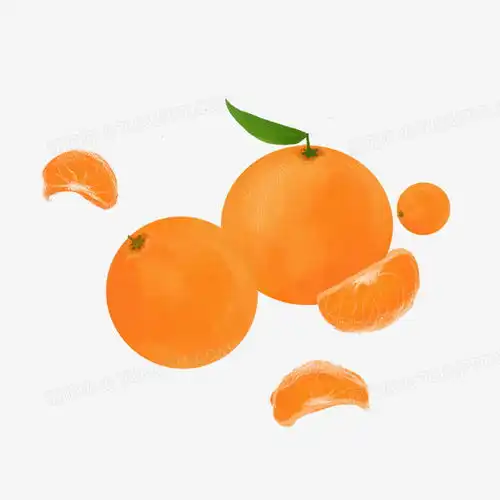卡通手绘橘子橘子元素png图片素材免费下载手绘png20002000像素