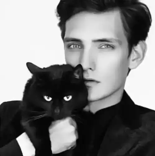 朋友圈背景图第四期往下拉,有惊喜