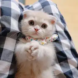 超级好看的头像集