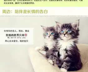 伊纳宝猫用鲣鱼节味鸡汤味鱿鱼味三种口味25g猫零食