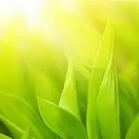 微信小清新风景头像淡雅微信头像图片大全