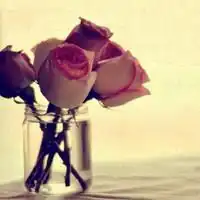 使内心安静的唯美个性头像