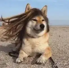 百姓生活最低0冷空气马上到货,南部将迎来断崖式降温更心塞的是