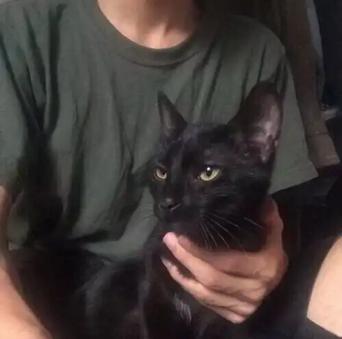 相比结局,初见真是太美好了