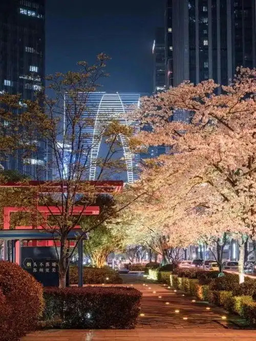 来园区,遇见粉色的梦