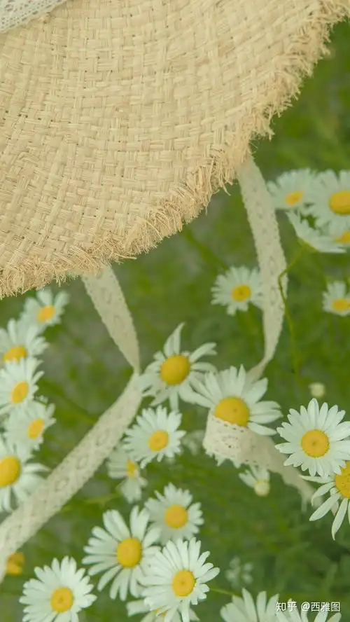 好看头像绿色系图片养眼