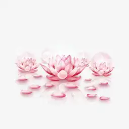 矢量手绘粉色莲花素材图片免费下载高清装饰图案psd千库网图片编号4313342