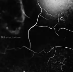 混沌黑白画册中部分作品