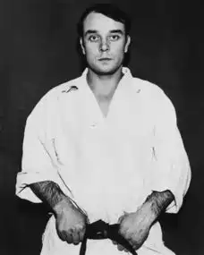 高贵而静穆的克莱因蓝