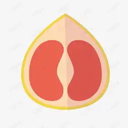 简约西柚矢量图标素材图片免费下载高清psd千库网图片编号8222353