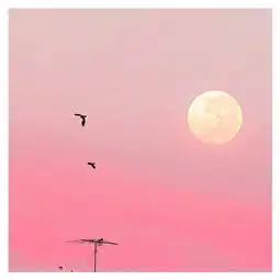 不穿粉色怎么叫过夏天治愈系粉色穿搭
