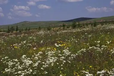 十年搏得草色新我从草原来摄影系列报道之四