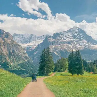 最佳风水头像2020风水上最好旺财头像