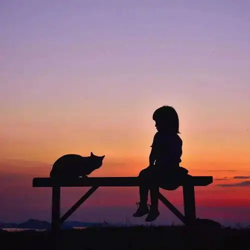 关于一个姑娘的1000张照片曝光知乎