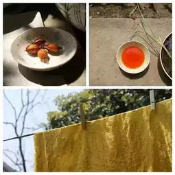 草木自有沉静安详的气质,正如岁月漂洗后的颜色