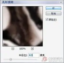 照片调色系列教程冷艳情调美女