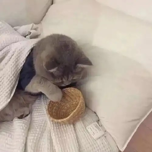 你离开的日子里你想过我吗