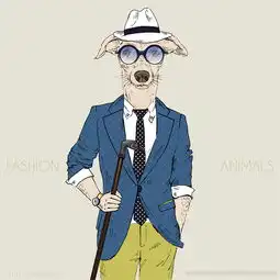 狗图片